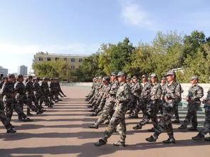 最新军训爆料文案